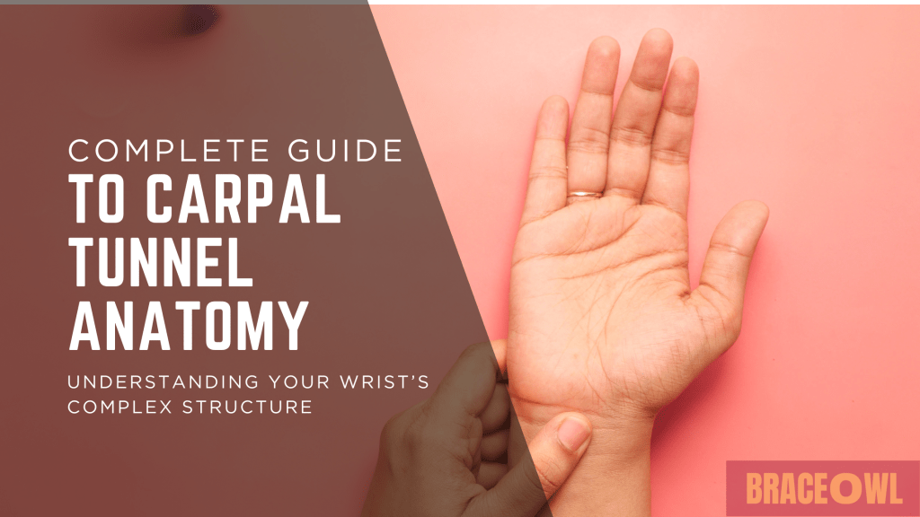 Complete Guide to Carpal Tunnel Anatomy