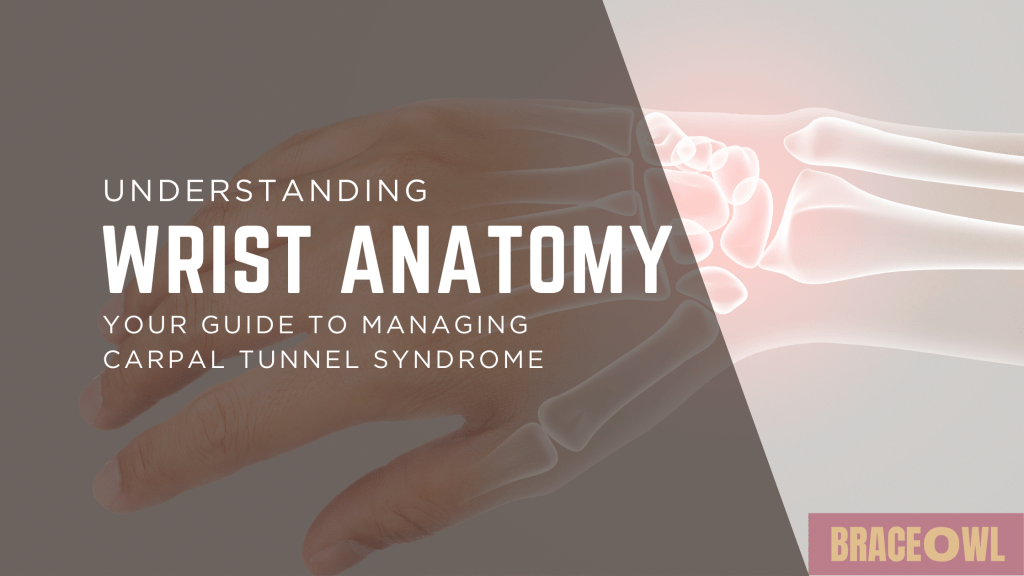 Understanding Wrist Anatomy